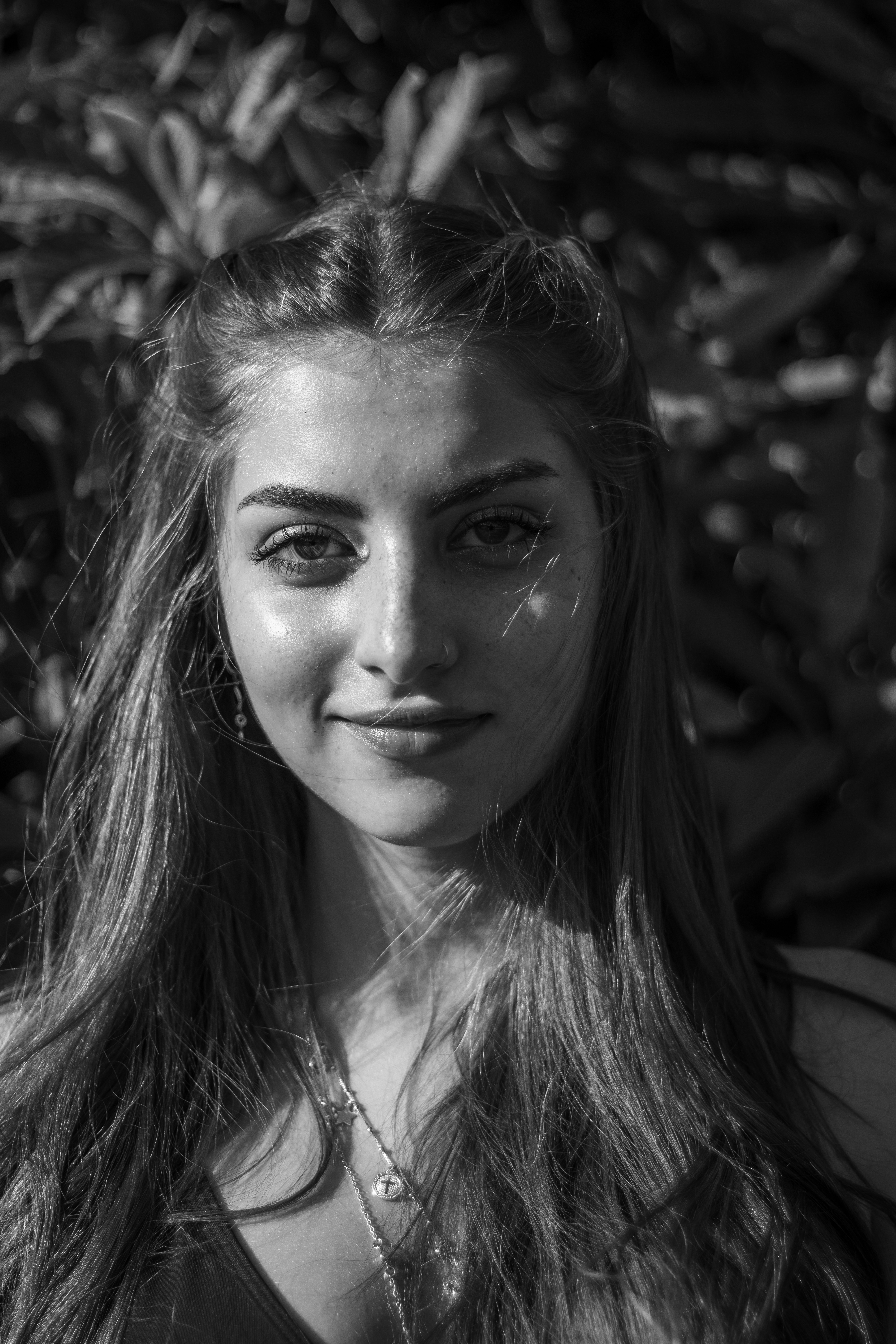 电视剧分类封面