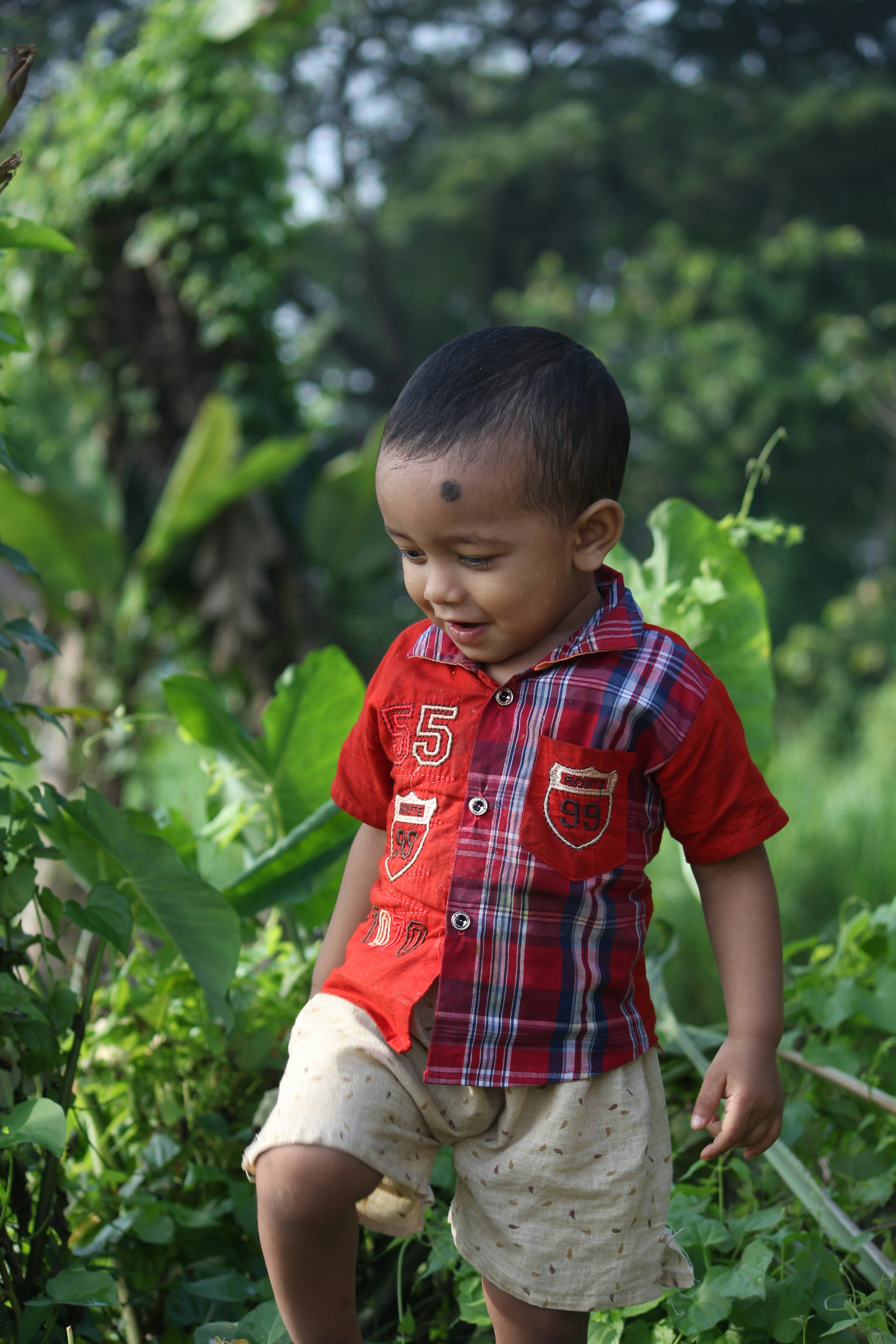 最新更新：电影封面图7