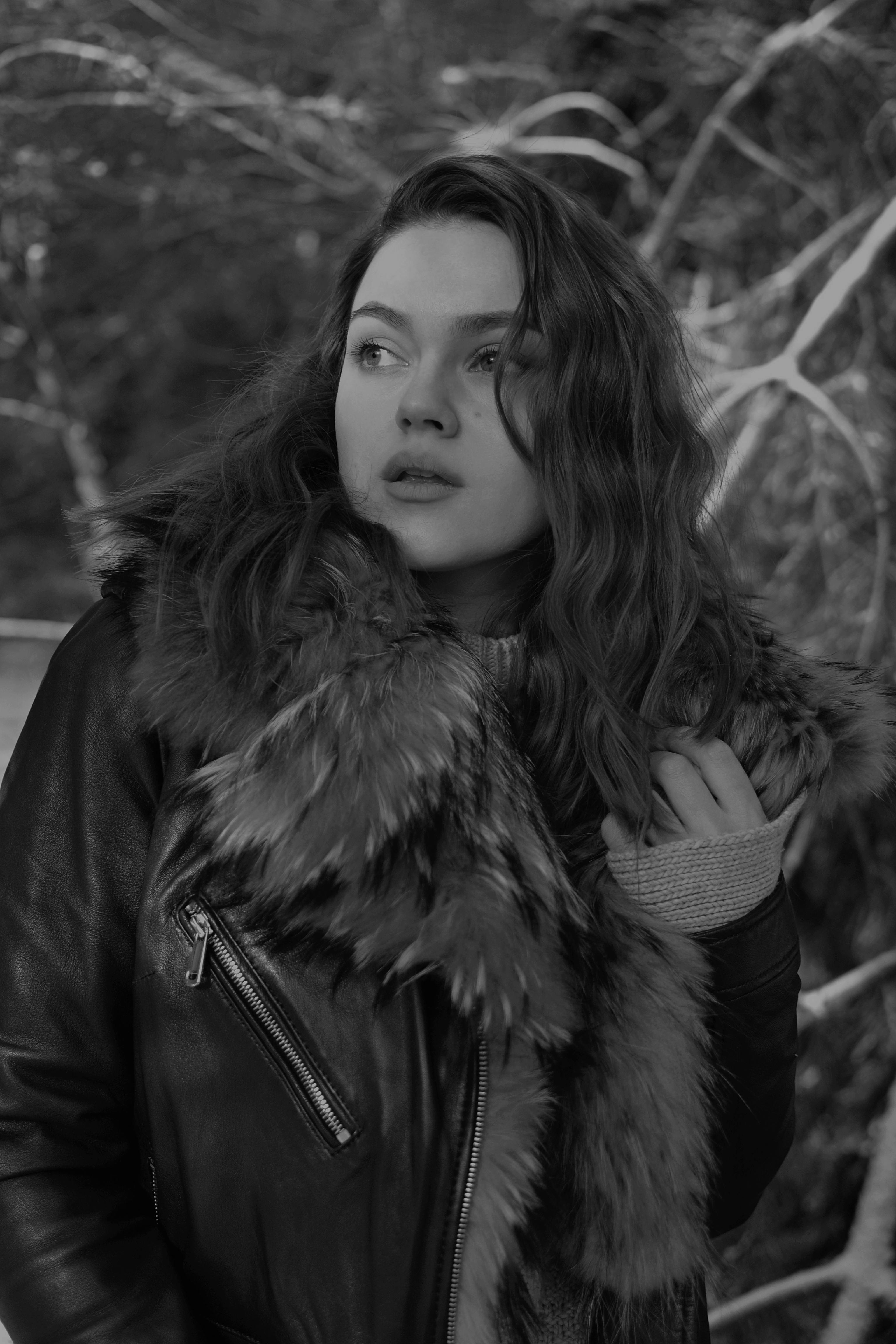 理论文章缩略图：注意力组织与镜头引导