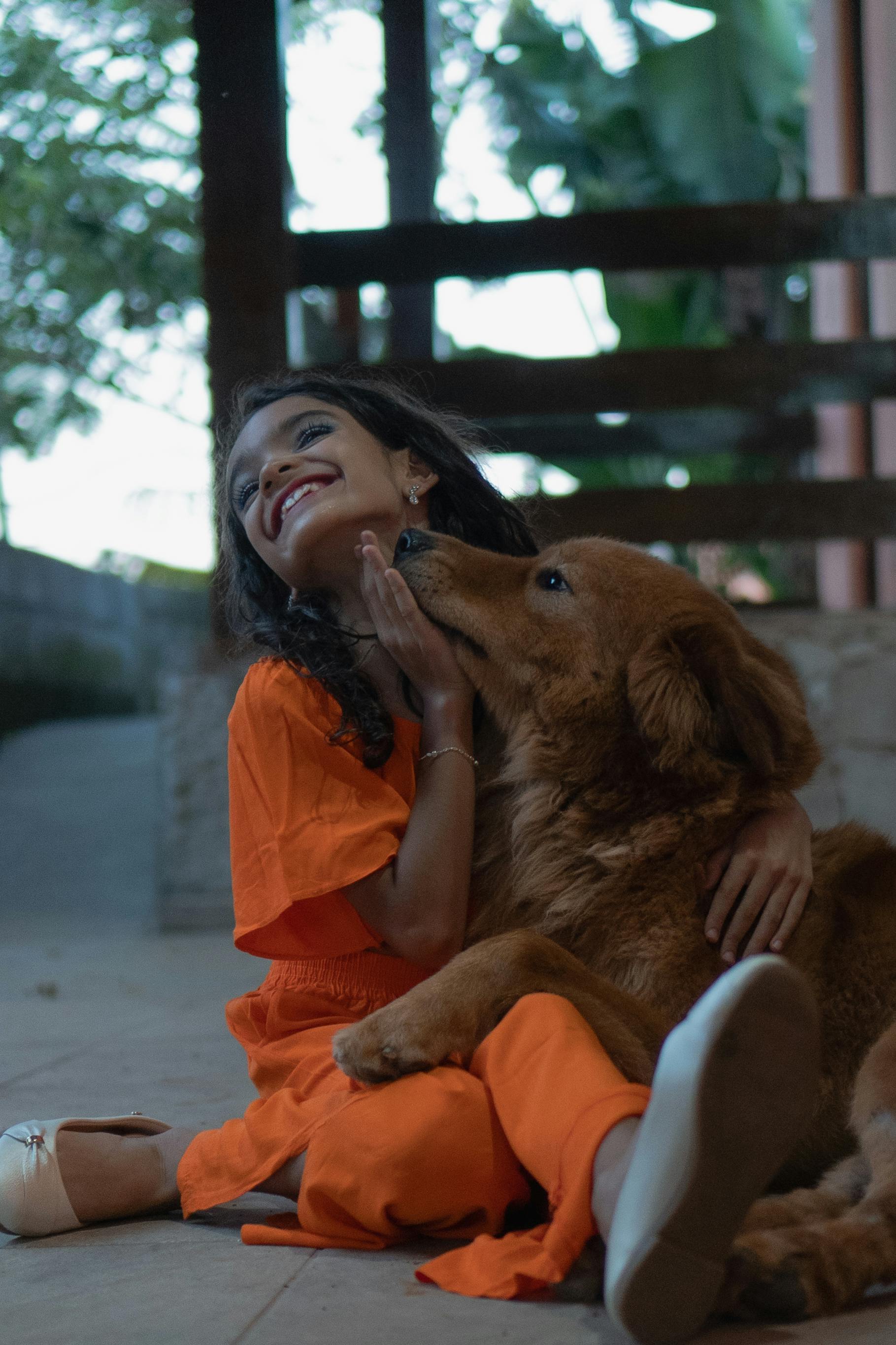 汇报场景专题预览图，用于专题合集