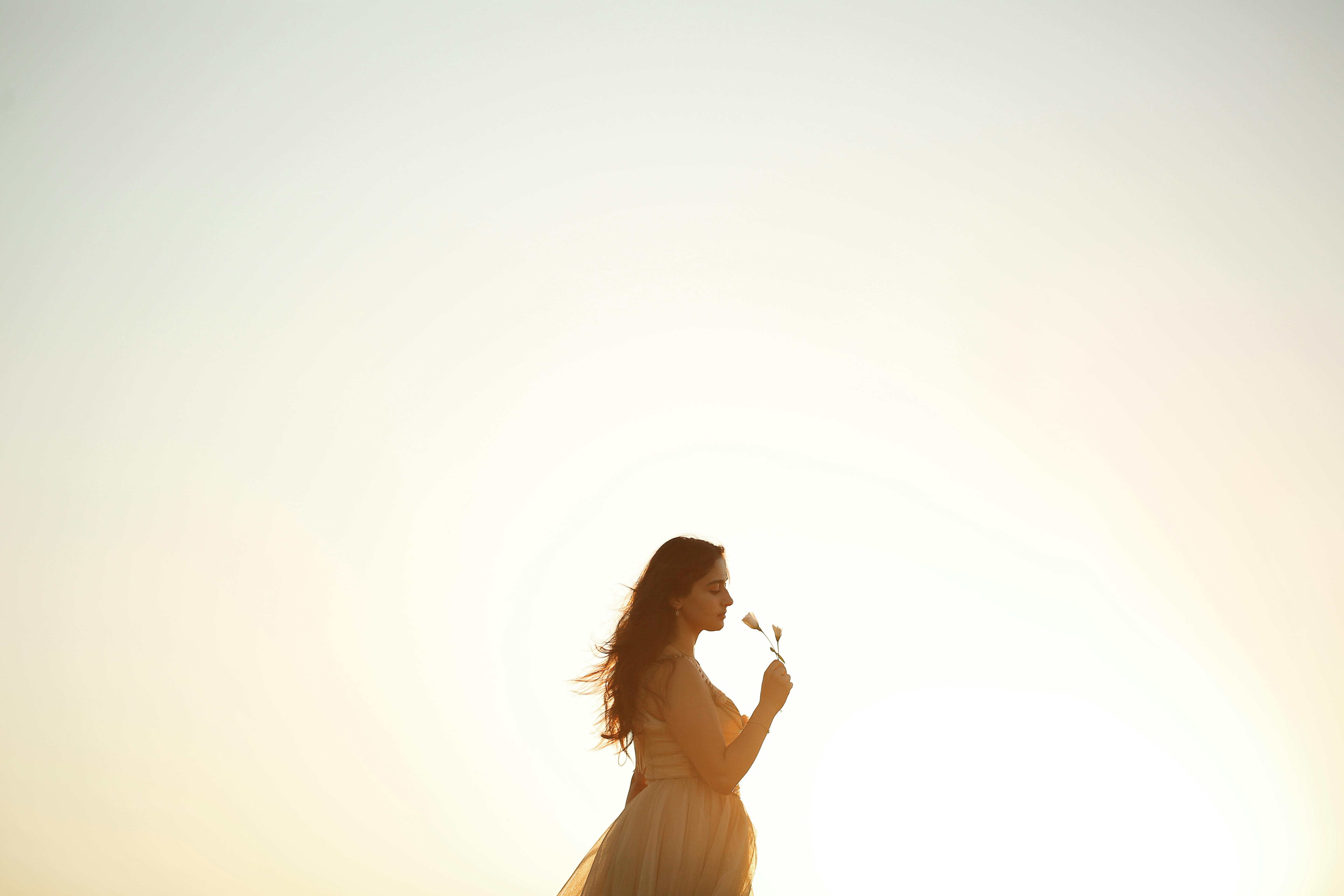 热播推荐海报：综艺旅行主题图