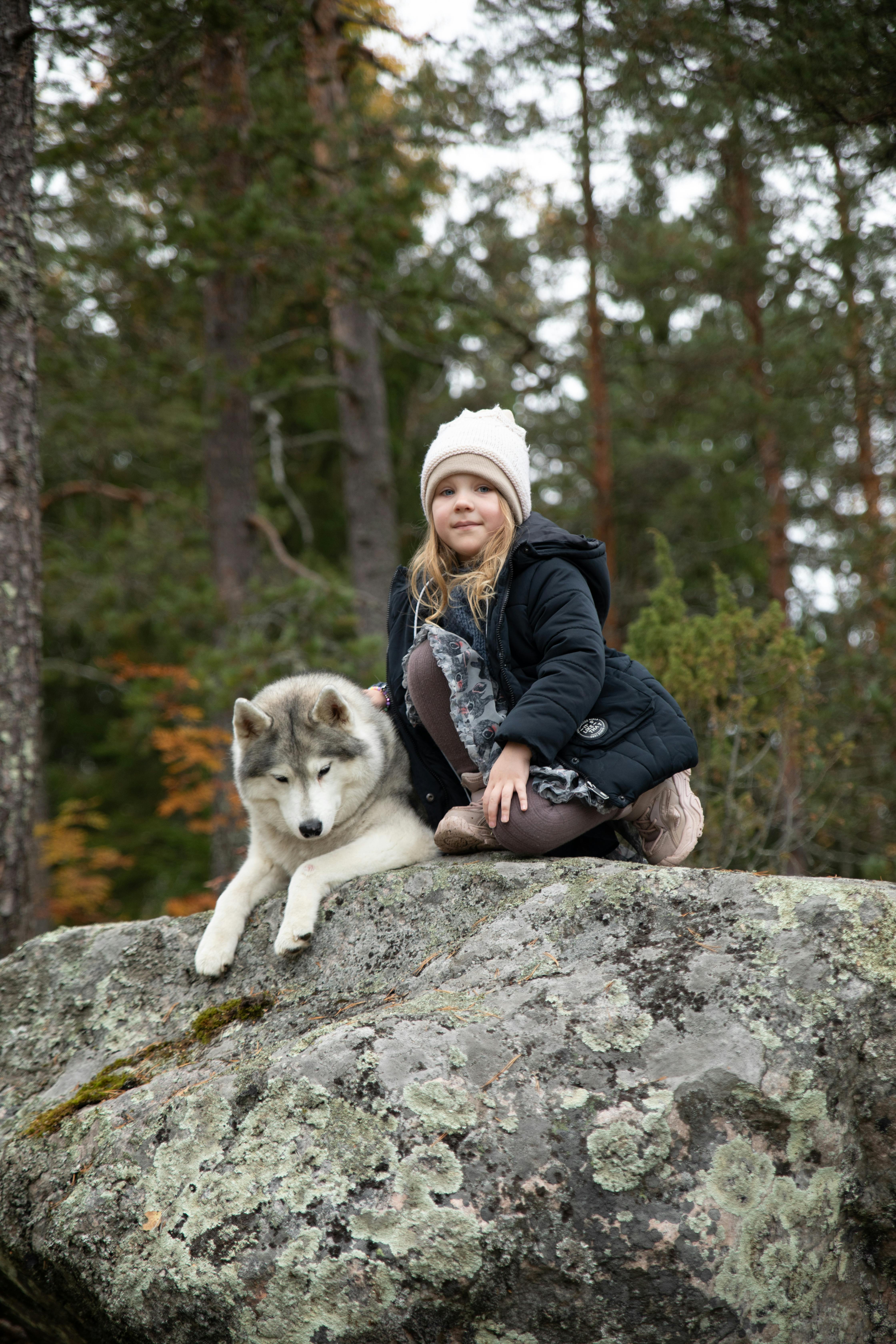 精选画廊图片 3