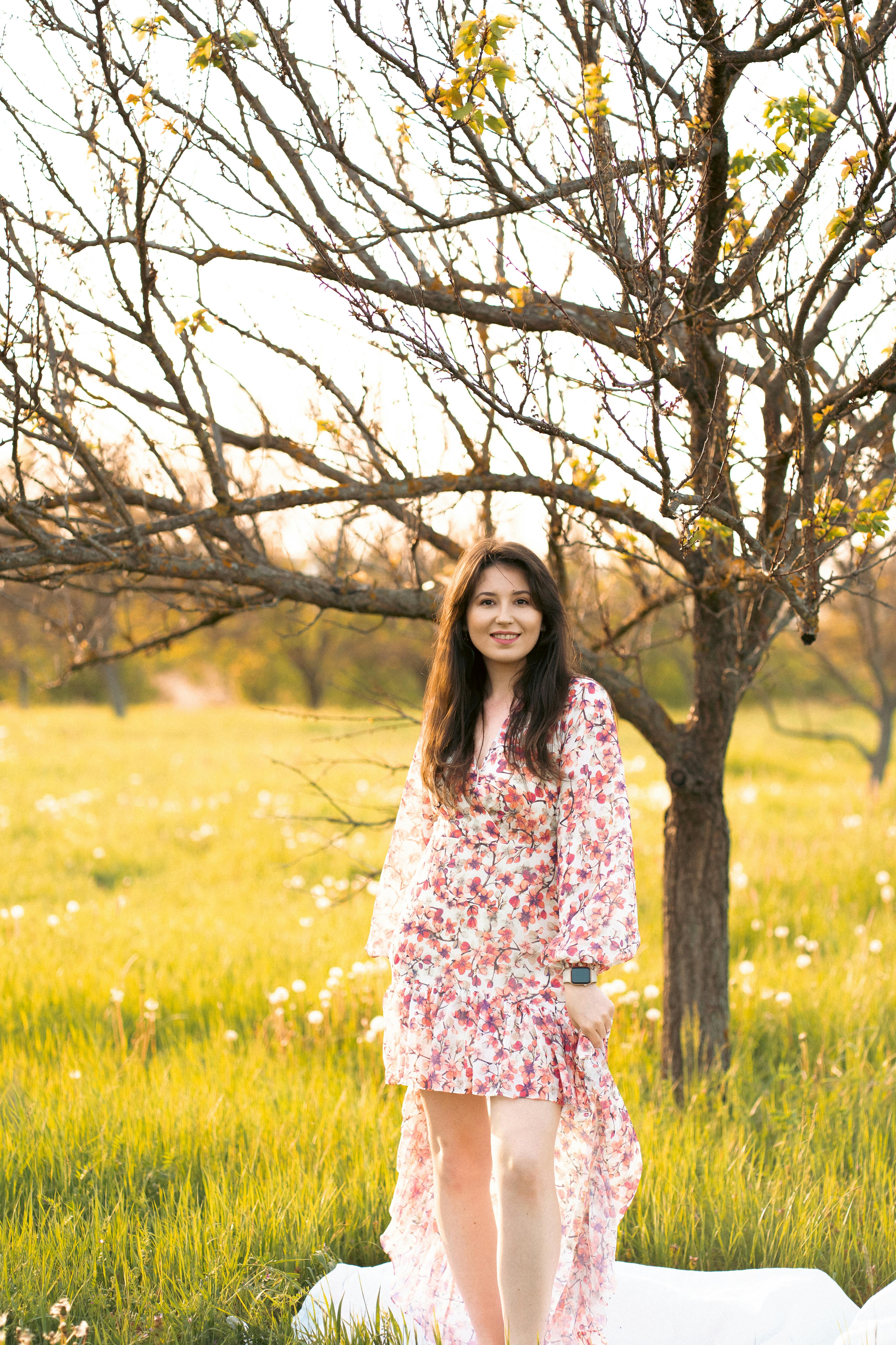 最新更新海报：电影犯罪题材主题图