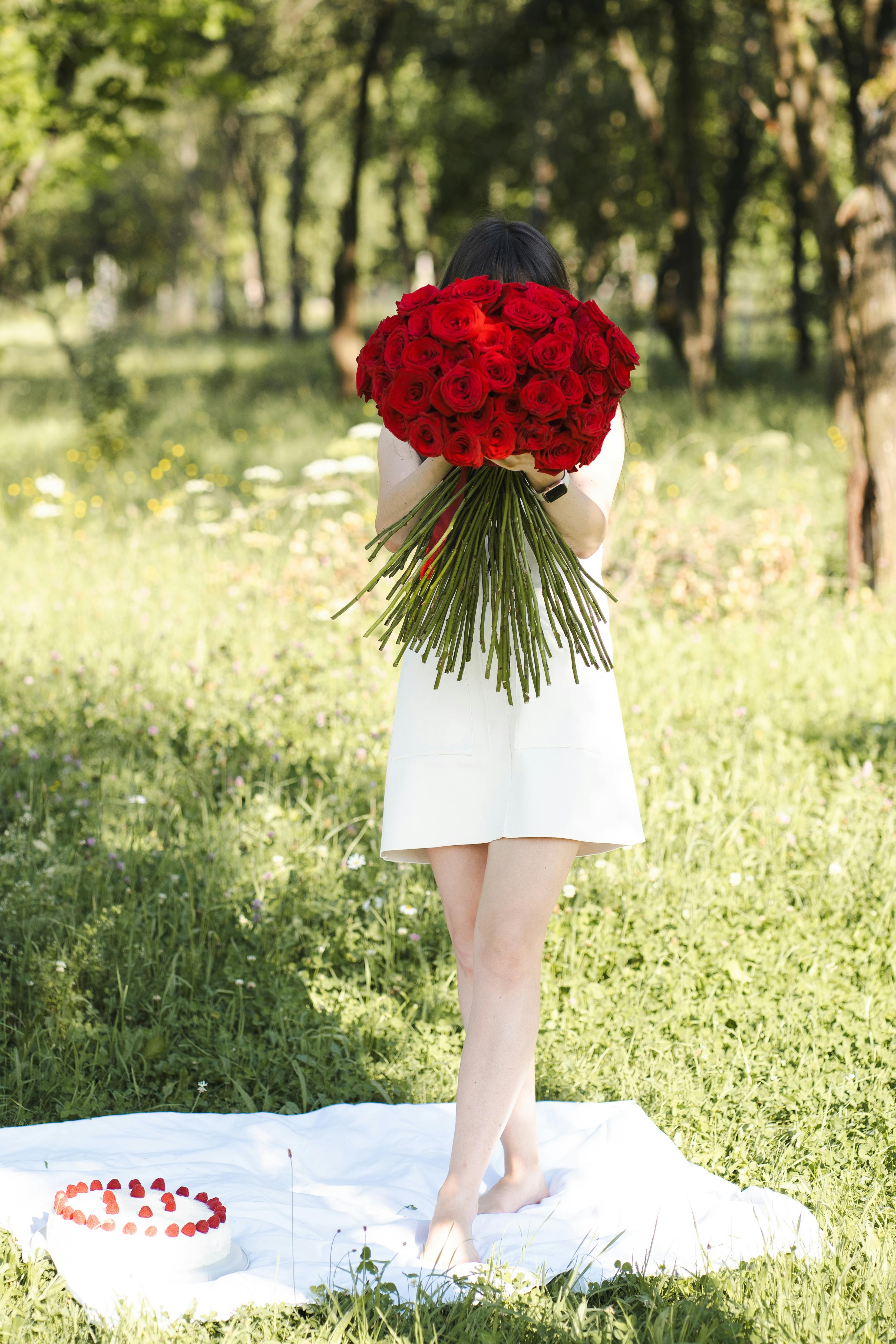 毛豆影视院电视剧推荐海报