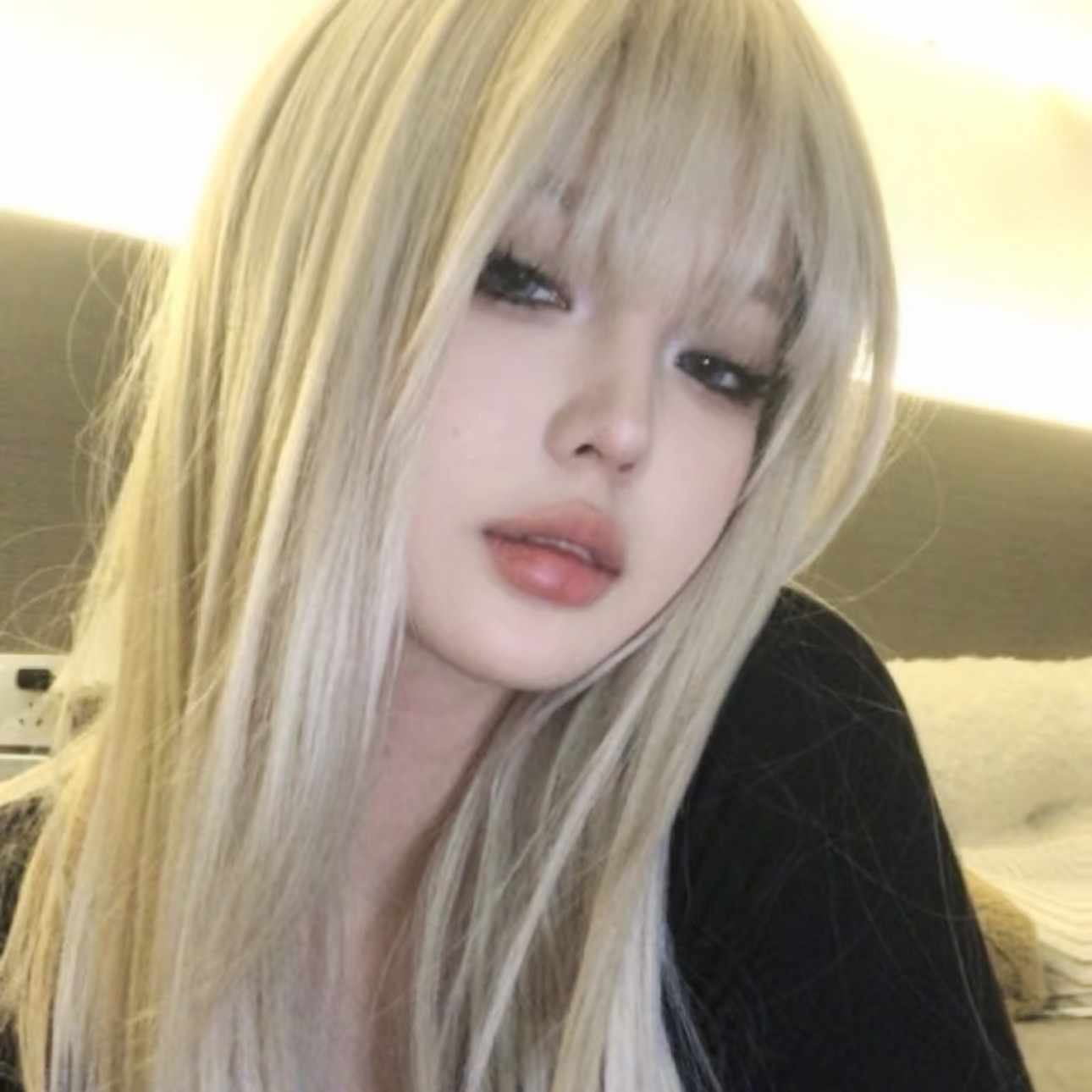 King Charles Cavalier