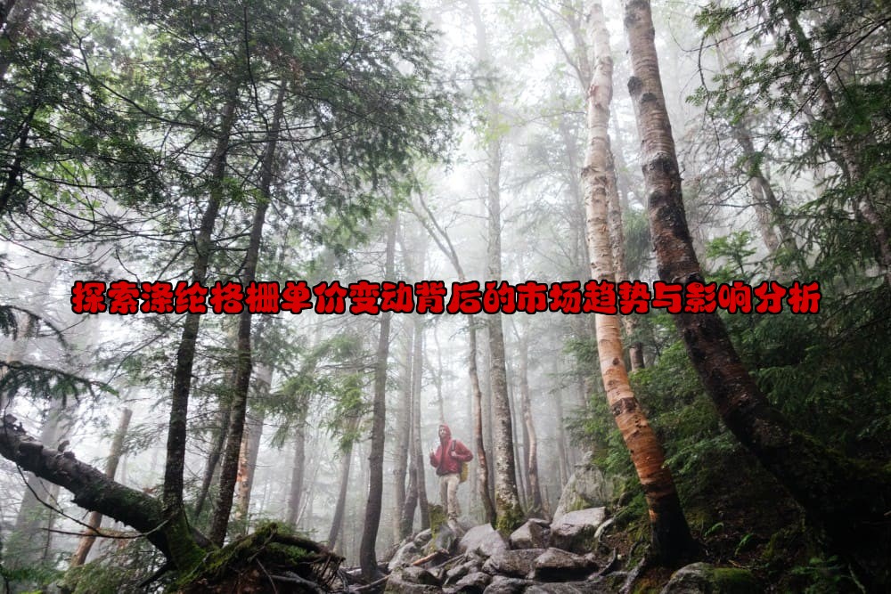 探索涤纶格栅单价变动背后的市场趋势与影响分析