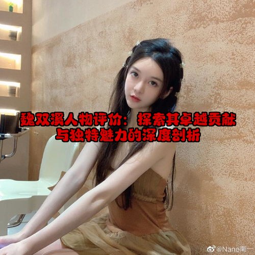 魏双溪人物评价：探索其卓越贡献与独特魅力的深度剖析