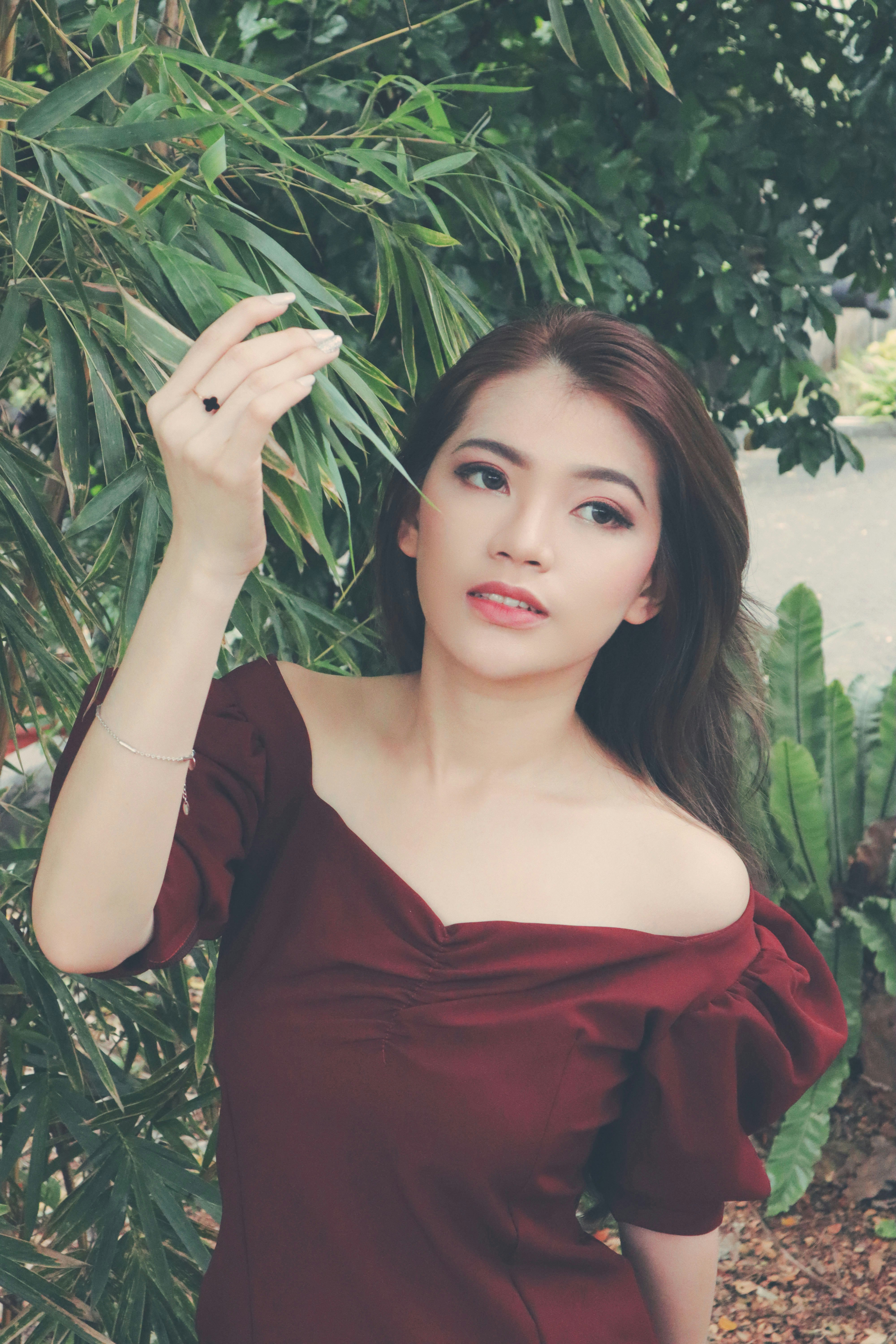 旧雨新声封面图